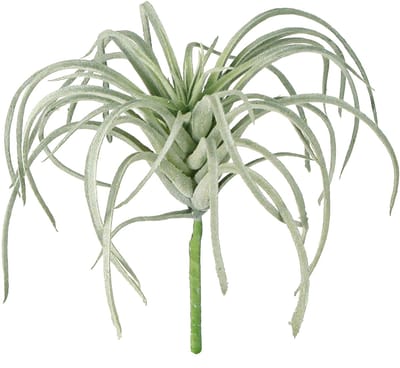 Tillandsia succulente kunstgroene planten 13cm