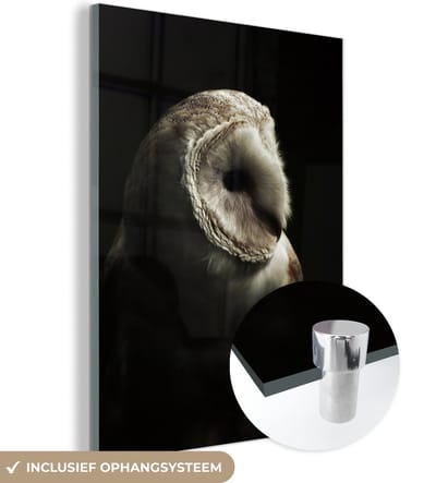 MuchoWow® Glasschilderij 120x160 cm - Schilderij acrylglas - Uil - Vogel - Portret - Foto op glas - Schilderijen