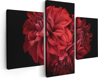 Artaza Canvas Schilderij Drieluik Rode Dahlia Bloemen - 90x60 - Foto Op Canvas - Canvas Print