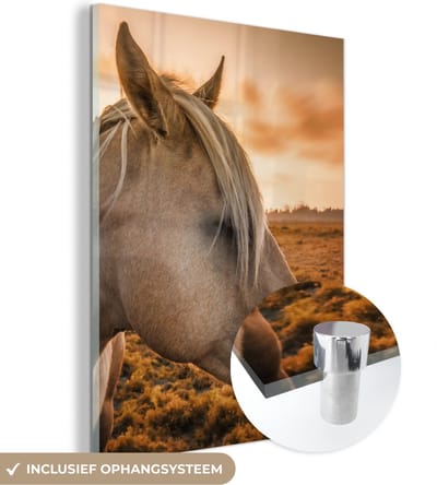 MuchoWow® Glasschilderij 30x40 cm - Schilderij acrylglas - Paard - Dieren - Portret - Foto op glas - Schilderijen