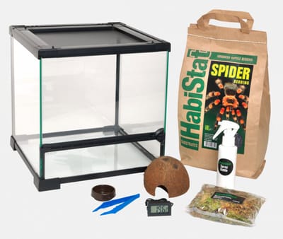 Habistat Spinnen Start Set - Spinnen Terrariumset