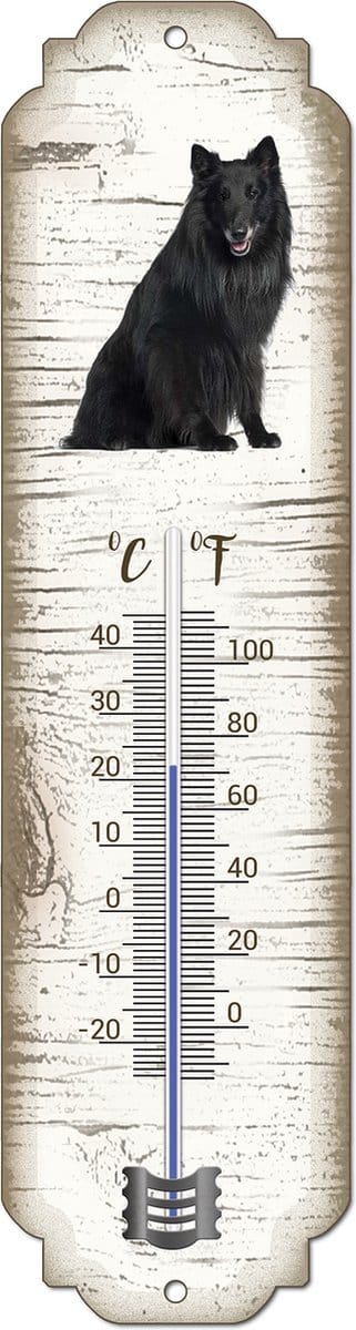 Thermometer: Groenendaeler | Hondenras | Temperatuur binnen en buiten | -25 tot +45C