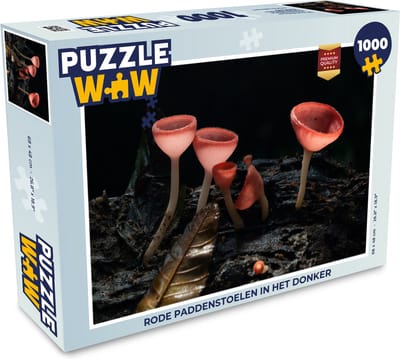 Puzzel Rode paddenstoelen in het donker - Legpuzzel - Puzzel 1000 stukjes volwassenen