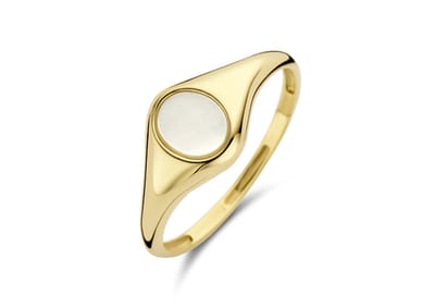 Blush Dames Ring Goud - Goudkleurig - 16.50 mm / maat 52