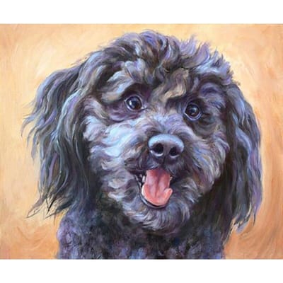 5d Diamant Mozaïek Afbeelding Strass Diamant Borduurwerk Hond Diamant Schilderij Dier Kruissteek 20X30CM gray
