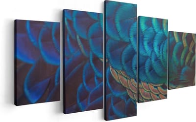 Artaza Canvas Schilderij Vijfluik Kleurrijke Pauw Veren Van Dichtbij - 100x50 - Foto Op Canvas - Canvas Print