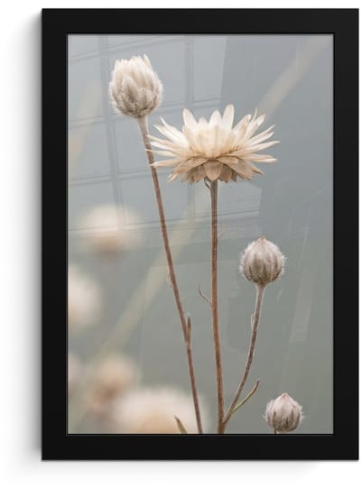 Poster in lijst - Fotolijst 20x30 cm - Posters - Strobloemen - Wit - Daglicht - Posterlijst zwart - Decoratie - Wanddecoratie woonkamer - Muurdecoratie slaapkamer