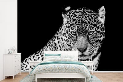 Behang - Fotobehang Luipaard - Dieren - Zwart - Wit - Portret - Breedte 600 cm x hoogte 400 cm