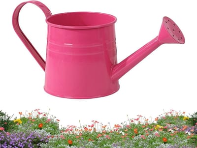 Gieter voor buiten - Waterkruik planten - Planten water geven - Lange nauwkeurige tuit - 1 liter inhoud - Roze