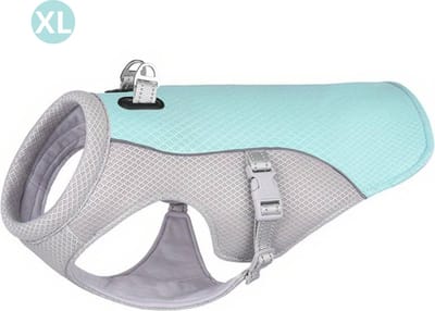 Bovista Koelvest Hond - Koelvesten - Verkoeling - Honden Kleding - Hondenkleding - Duurzaam - Blauw - Maat XL