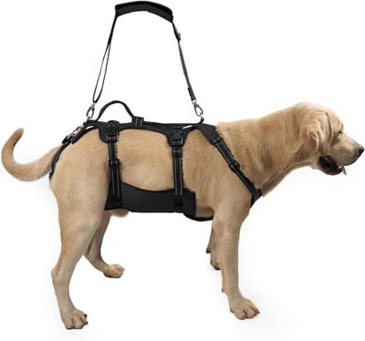 Hondenlift Tuig - Hondenondersteuning Vest - Revalidatie Honden - Volledig Lichaamsondersteuning - Maat XL - Zwart
