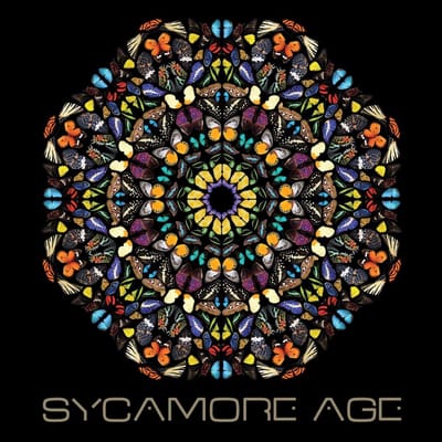 Sycamore Age - Sycamore Age (LP) (Limited Edition)