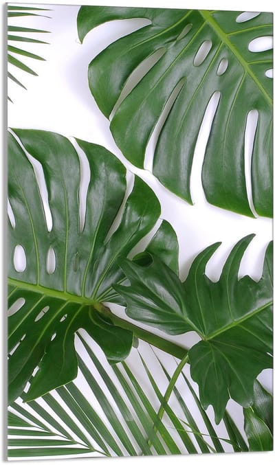 TMK ArtDeko Monstera - Snijplank - 30x52 cm - Beschermende Glasplaat - Veelzijdig Gebruik
