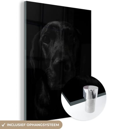 MuchoWow® Glasschilderij 120x160 cm - Schilderij acrylglas - Hond - Huisdier - Zwart - Foto op glas - Schilderijen