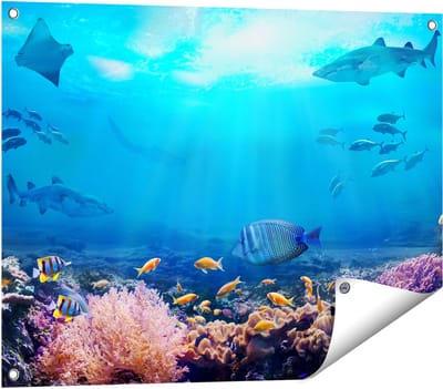 Gards Tuinposter Vissen met Haaien in de Oceaan met Koraalrif - 80x60 cm - Tuindoek - Tuindecoratie - Wanddecoratie buiten - Tuinschilderij