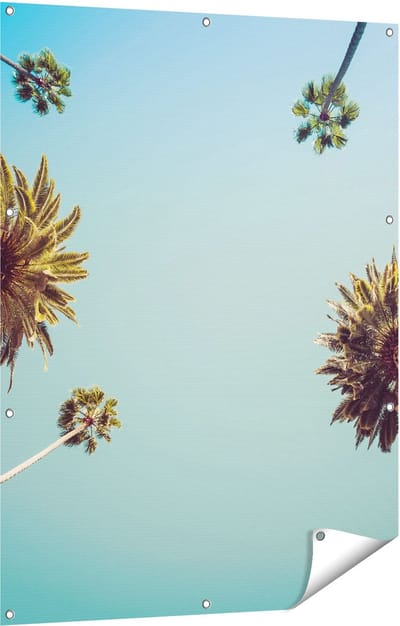 Gards Tuinposter Palmbomen met Bladeren in de Lucht - 90x120 cm - Tuindoek - Tuindecoratie - Wanddecoratie buiten - Tuinschilderij