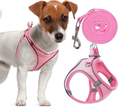 Allecto Plus - Hondenharnas en riem set voor kleine honden - Reflecterend - Verstelbaar - Ademend - Roze - Maat 3XL - Geschikt voor puppy's - 15 meter.