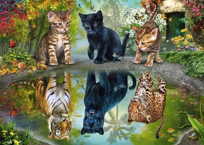 Dream Big Puzzel met Katten - 1000 Stukjes Puzzel voor Volwassenen