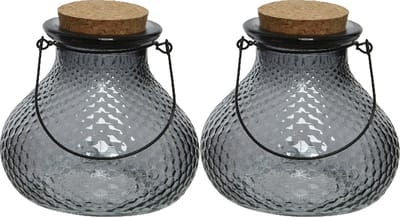 Decoris wespenvanger/wespenval - set 2x - glas - grijs - D14 x H13 cm