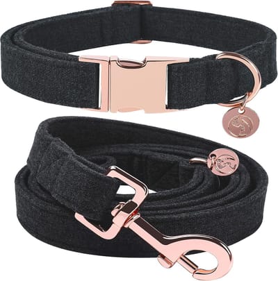 Hondenhalsbanden zwart, hondenhalsbanden en riem van zwarte hondenhalsband, comfortabele verstelbare hondenhalsband voor kleine middelgrote honden