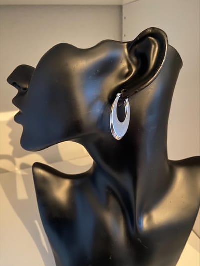 Zilverkleurige ovale oorbellen | | Make up | Parfum | Moederdag | Verjaardagscadeau| Cadeautje| Valentijnsdag| Kado | sieraden | vaderdag | oorbellen | oorsieraden