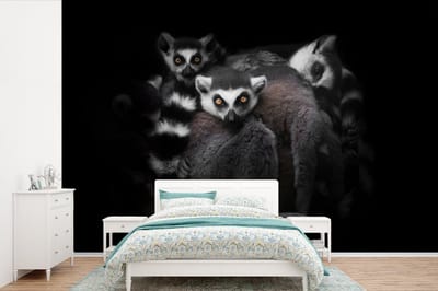Behang - Fotobehang Dieren - Maki - Zwart - Wit - Portret - Breedte 600 cm x hoogte 400 cm