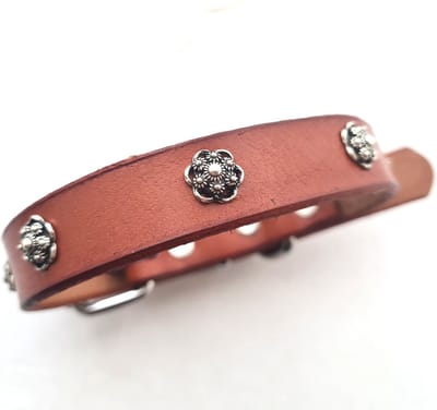 honden halsband met zeeuws knopje, dog collar, honden halsband, hond accessoire, ond harnas, hond harnesses, hond brace..