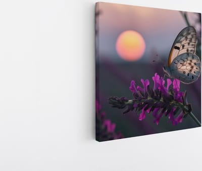 Saammp Canvas Schilderij - Vlinder op Bloemen - Abstract - Natuur - 20x20 - Foto op canvas - Wanddecoratie - Muurdecoratie Woonkamer - Kantoor Decoratie