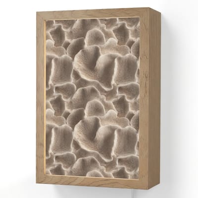 Wandlamp 20x30 cm - Oplaadbaar - Waaiervorm - Beige - Vezel textuur - Wandlampen binnen woonkamer - Slaapkamer lamp met kabel - Decoratieve nachtlamp - Vloerlamp snoer