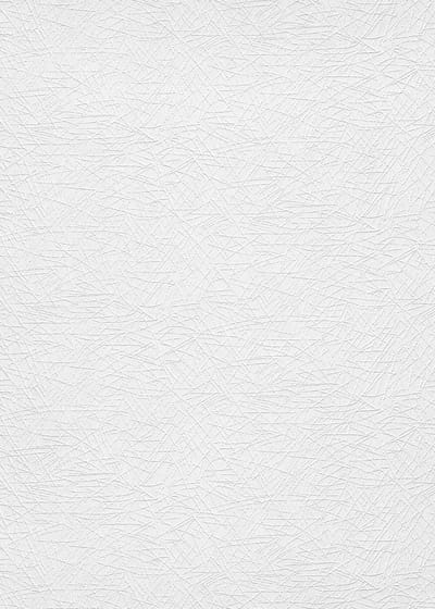 Erismann Vinylbehang 11034-01 - RollOver27 - Overschilderbaar Wit - 106cm x 25,00m