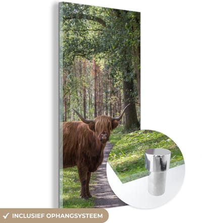 MuchoWow® Glasschilderij 20x40 cm - Schilderij acrylglas - Schotse Hooglander - Pad - Boom - Foto op glas - Schilderijen
