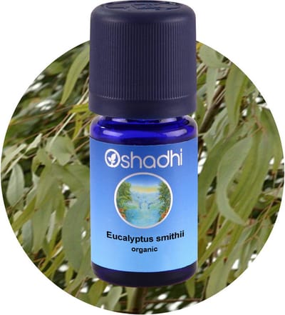 Etherische olie, Eucalyptus, Oshadhi, 5 ml