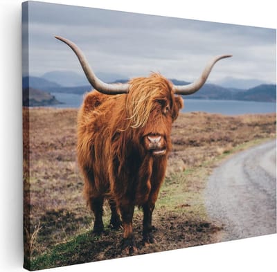 Artaza Canvas Schilderij Hooglander - 40x30 cm - Klein - Muurdecoratie Schotse Hooglander - Wanddecoratie Dieren - Kamer Accessoires