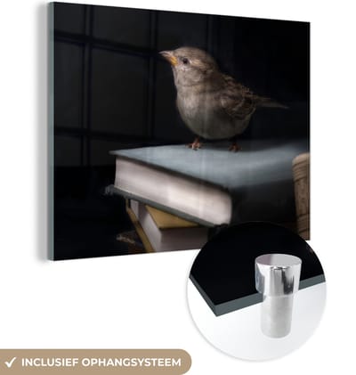 MuchoWow® Glasschilderij 160x120 cm - Schilderij acrylglas - Vogel - Boeken - Portret - Foto op glas - Schilderijen