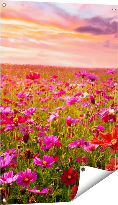 Gards Tuinposter Kleurrijke Kosmos Bloemenveld - 60x90 cm - Tuindoek - Tuindecoratie - Wanddecoratie buiten - Tuinschilderij