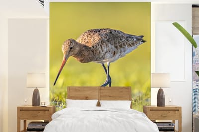 Behang - Fotobehang Vogels - Gras - Landschap - Grutto - Breedte 165 cm x hoogte 220 cm