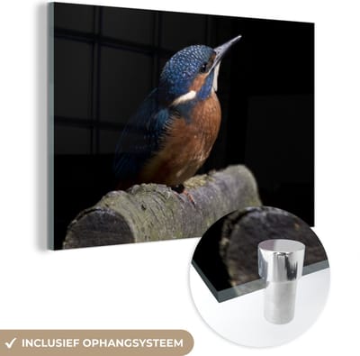 MuchoWow® Glasschilderij 120x80 cm - Schilderij acrylglas - IJsvogel - Tak - Veren - Zwart - Foto op glas - Schilderijen
