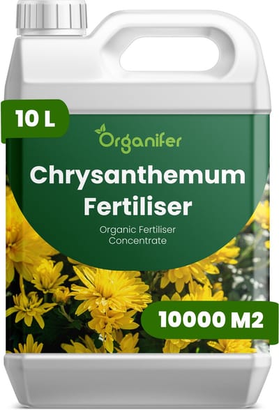 Vloeibare Meststof Voor Chrysanten 10 L Voor 10000 M2 - Npk 2-1-8 - Rijke Knopvorming - Sterke Wortels - Stressbestendig - Stengelsterkte - Bloemduur - Snijbloemen - Intense Kleurontwikkeling - Betrouwbare Bloei - Organifer