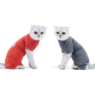 Costume de récupération pour animaux de compagnie, veste à quatre pattes pour plaies abdominales pour chats Small