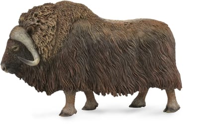 COLLECTA Figurine - Muskusos - (L) - Wilde Dieren - Handgeschilderd - Miniatuur