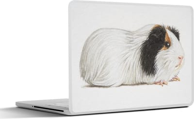 Laptop sticker - 12.3 inch - Een illustratie van een cavia met donkere vlekken - 30x22cm - Laptopstickers - Laptop skin - Cover