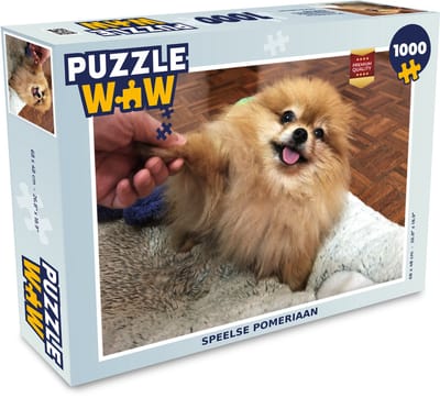 Puzzel Speelse pomeriaan - Legpuzzel - Puzzel 1000 stukjes volwassenen