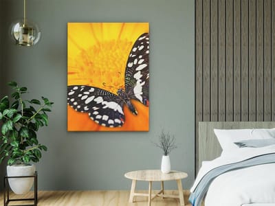Artaza Canvas Schilderij Vlinder Op Bloem - 60x80 cm - Wanddecoratie Bloemen - Muurdecoratie Vlinders - Decoratie Woonkamer