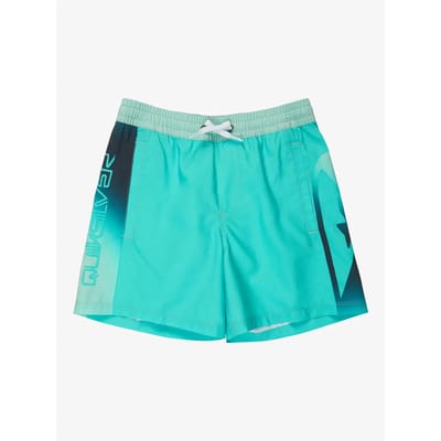 Quiksilver Everyday Holmes Volley 16´´ Zwembroek Groen 8 Years Jongen