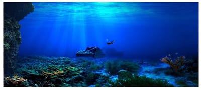 Dailygoods- PVC-poster waterdicht - zelfklevend - 3D-effect zeewereld - aquariumdecoratie - kleurrijke sticker - 122 * 46 cm