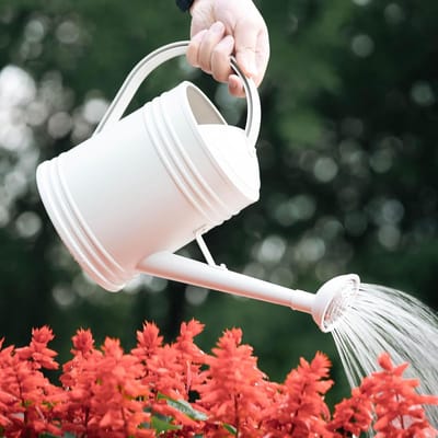 Ergonomische Tuingieter - Waterkannetje Planten - Planten Water Geven - Afneembare Sproeikop - 2L/4L - Blauw