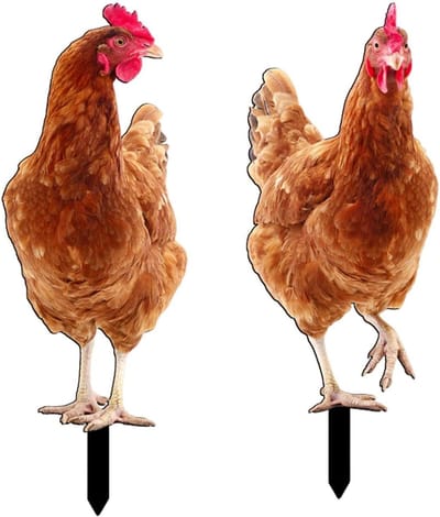 Kip Player Tuin, Kip Decoratieve Pleeple, 2D Acryl Gevogelte Decoratie Kleurrijke Kip Plug Teken | Ourdoor Art Kip Insert voor Tuin Terras