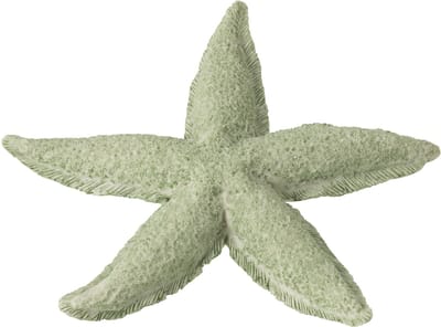 J-Line decoratie Zeester - polyresin - muntgroen - small - 2 stuks