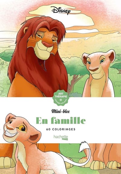 Mini Bloc - Disney En famille - kleurblok voor volwassenen
