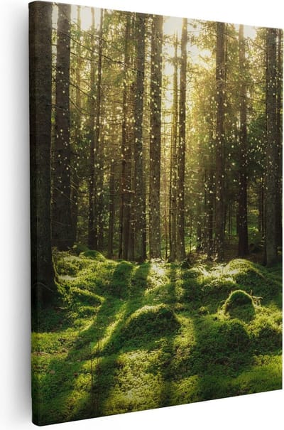 Artaza Canvas Schilderij Landschap - 40x50 cm - Wanddecoratie Bos - Muurdecoratie Bomen - Kamer Accessoires Natuur